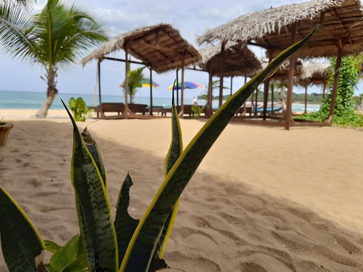 Golden Beach Chalets Arugam Bay Bagian luar foto