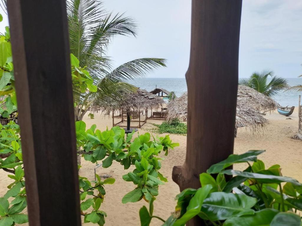 Golden Beach Chalets Arugam Bay Bagian luar foto